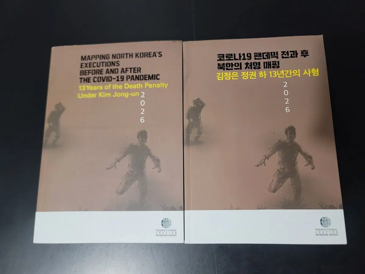 북한 처형 매핑: 코로나19 팬데믹 전후 13년간의 사형 2권 일괄