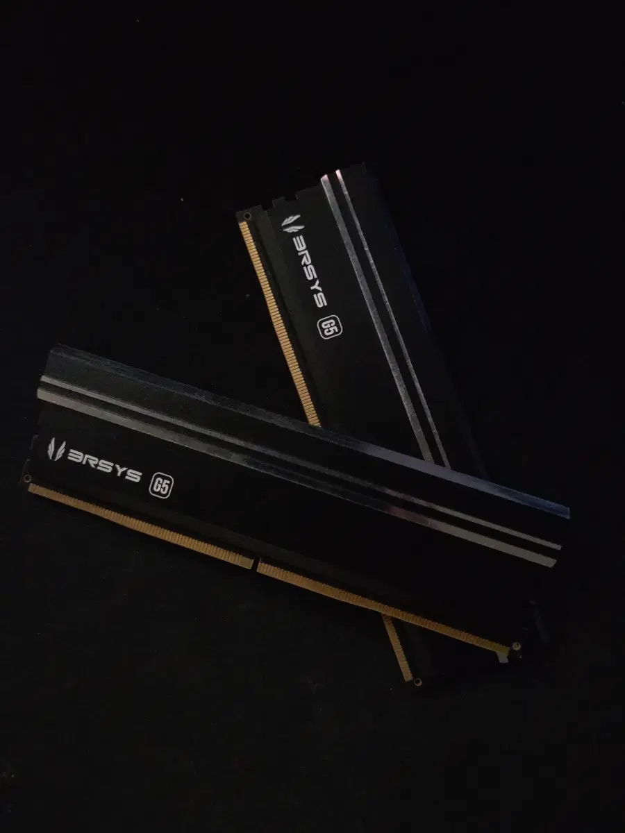 TeamGroup DDR5-5600 CL46 Elite 서린 16GB 두개