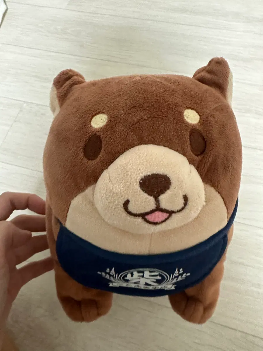 강아지 인형