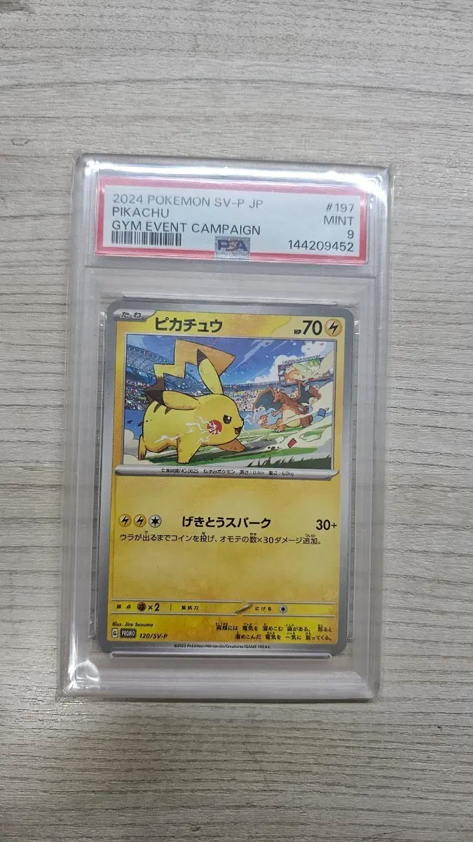포켓몬카드 피카츄 2024 짐프로모 psa9