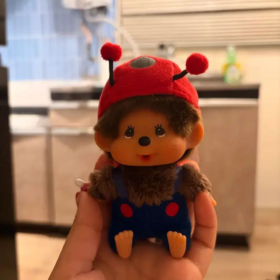 몬치치 빅헤드 SS 무당벌레 키 체인