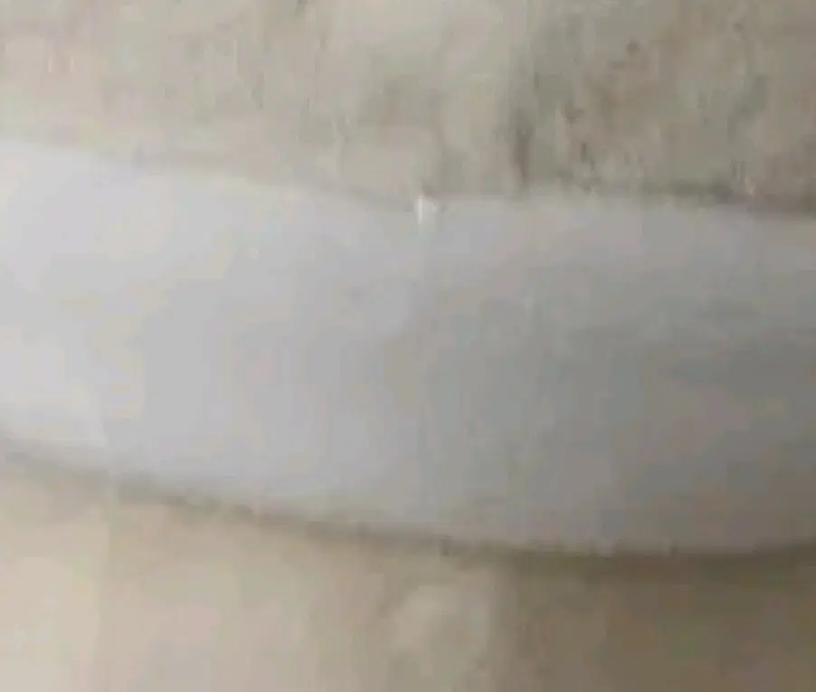 먼작귀랏코인형 먼작귀파크랏코인형