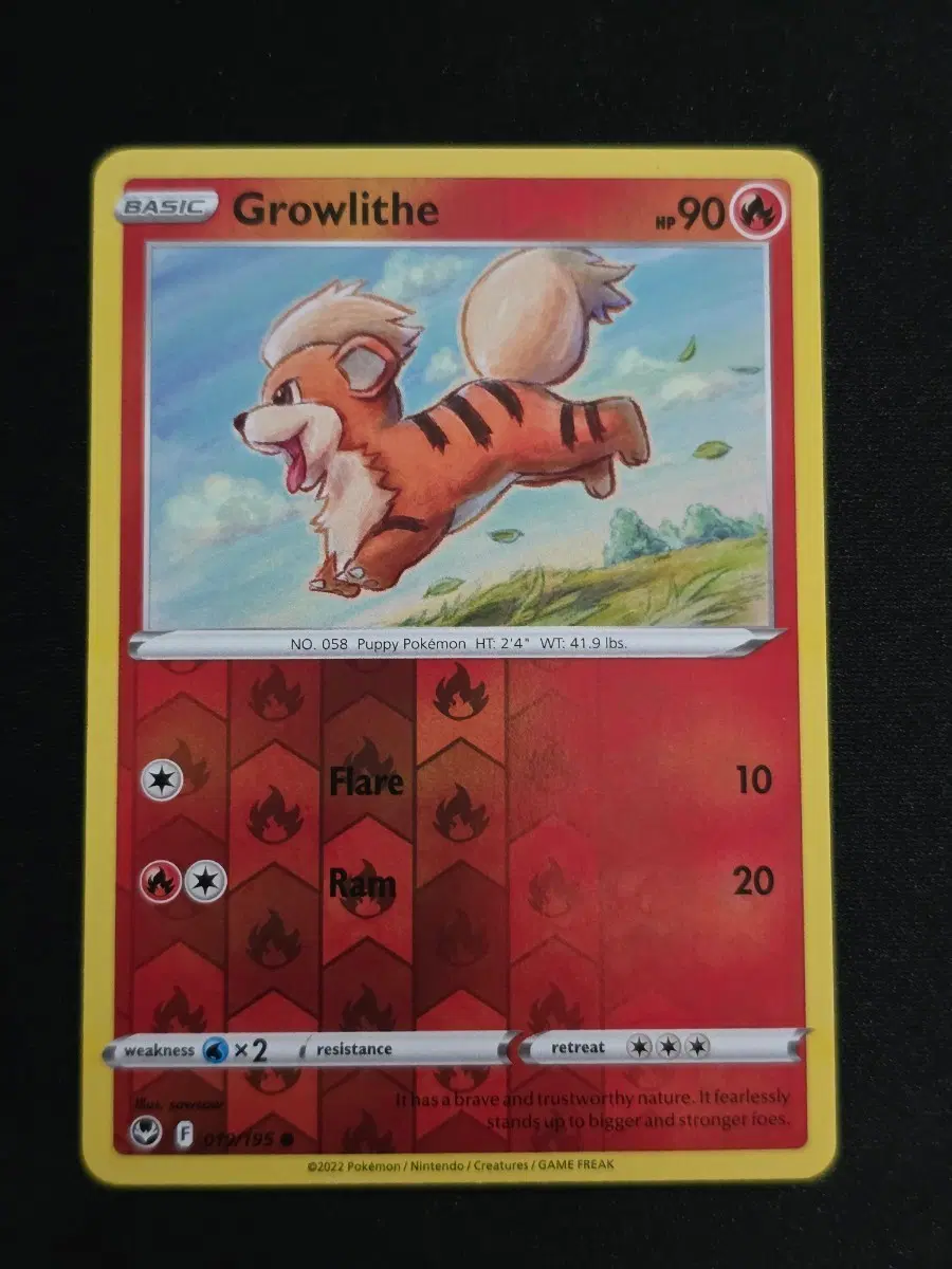 포켓몬카드 영문판 가디 Growlithe 019/195 Silver Tempest 리버스홀로