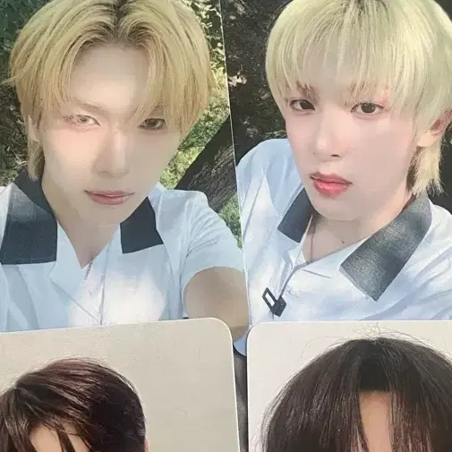 베이온 포카 공반포카