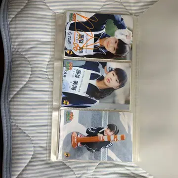 후지타니 미우 생사진 묶음 판매 은퇴 상품