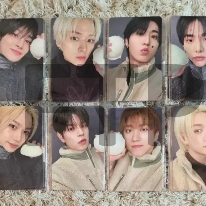 スキッズ ストレイキッズskz Stray Kidsポカポカ未開封