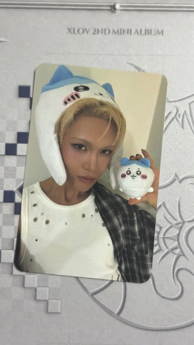 엑스러브 XLOV 현 하치와레 미공포 포카