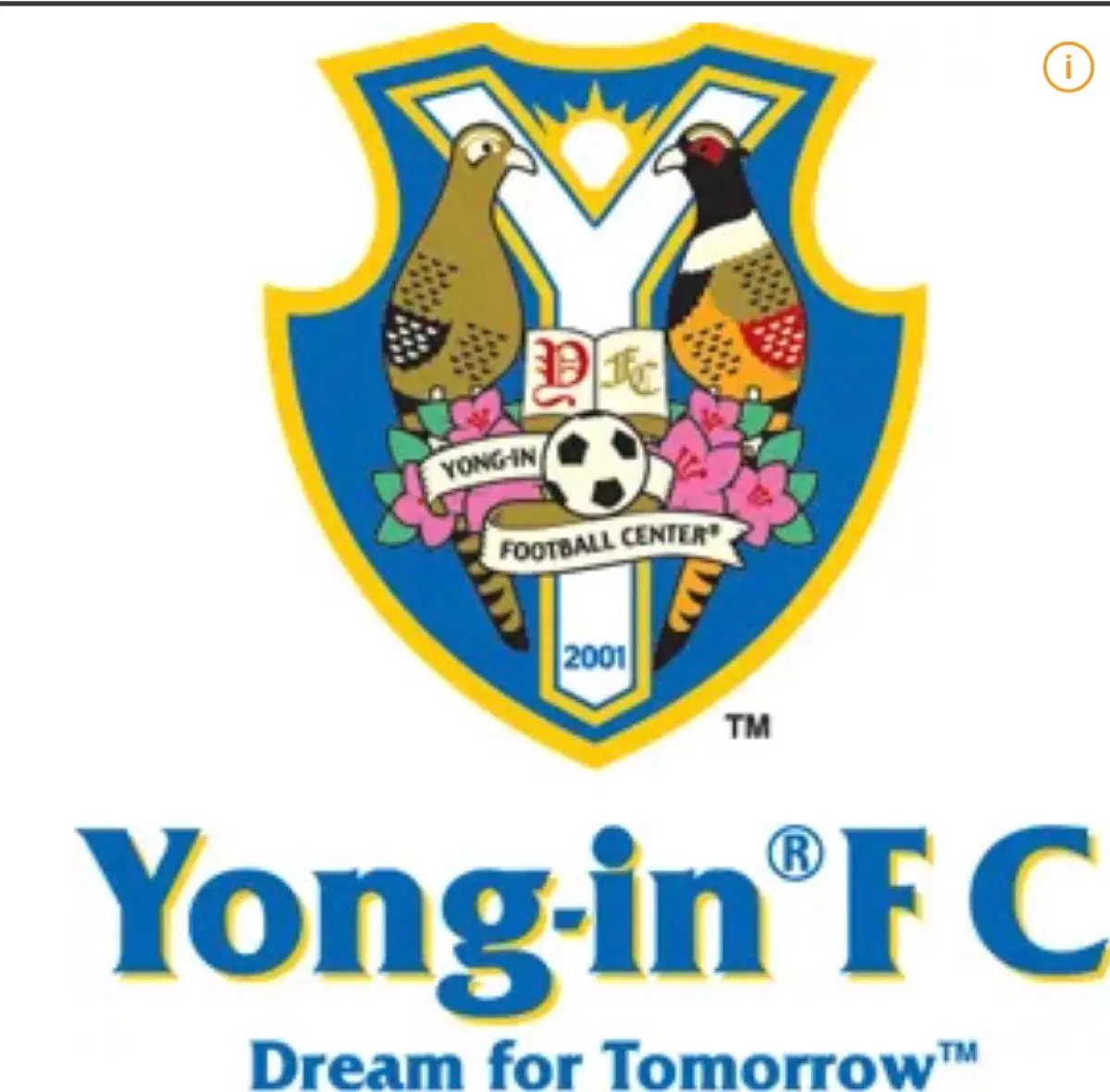 용인시축구센터 축구부 의류 대량 판매합니다