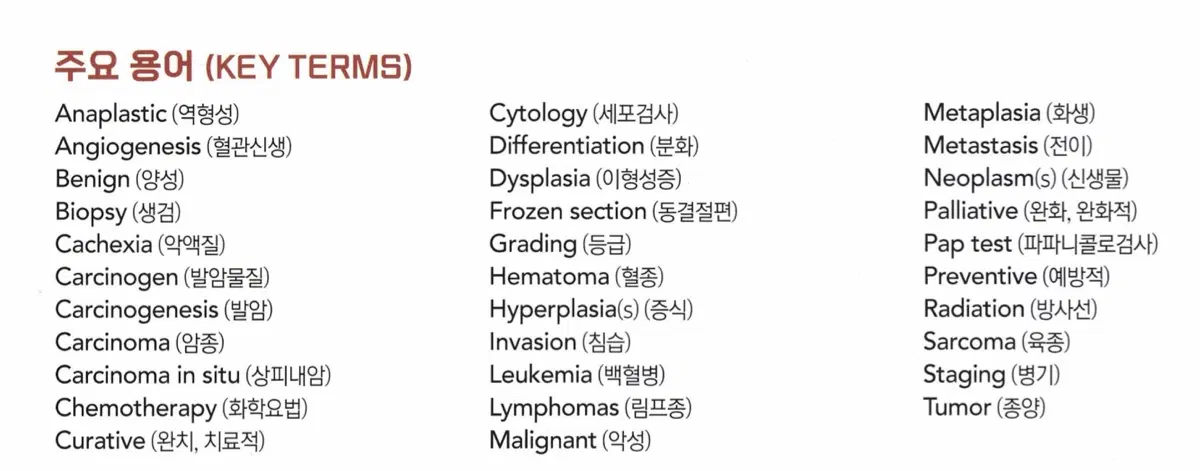 의학 용어집 (KEY TERMS)