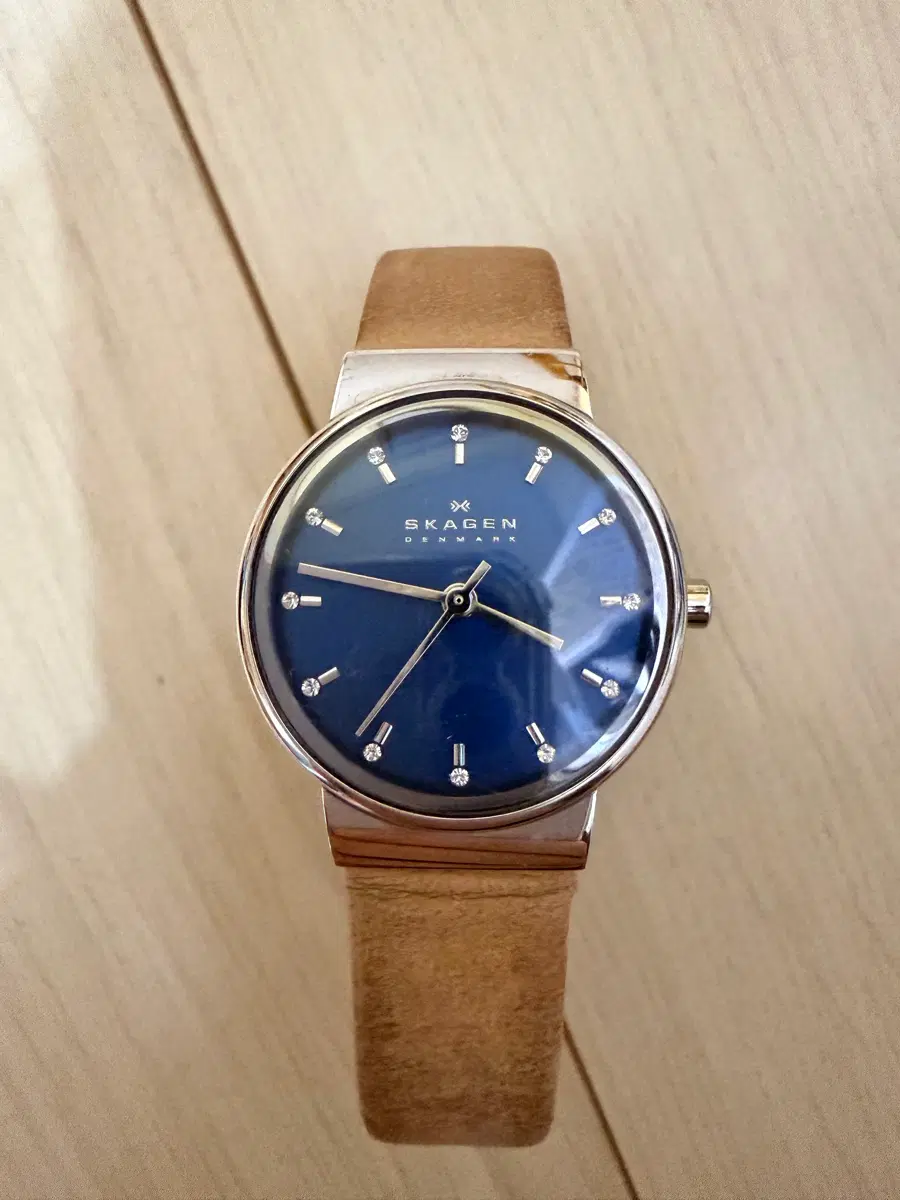 Skagen 스카겐 시계