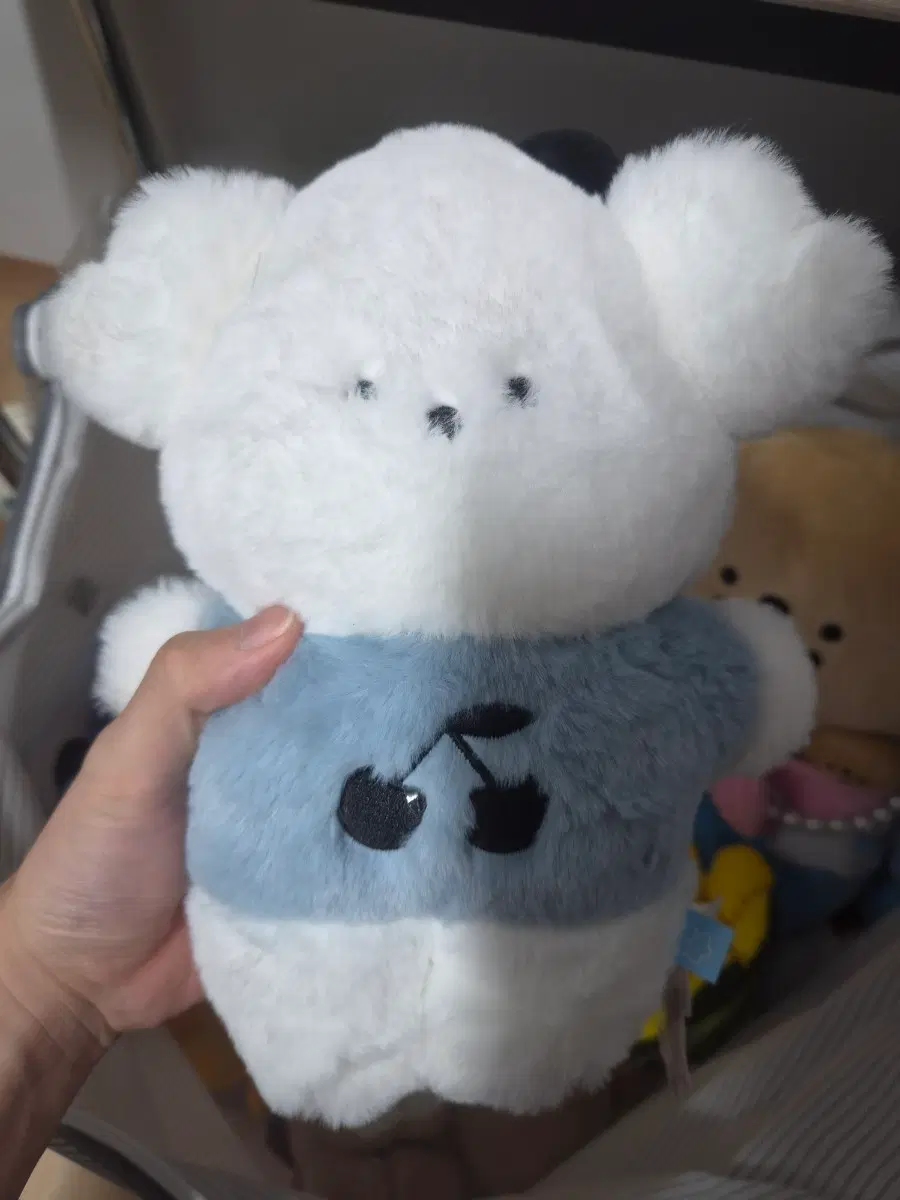여러가지 중형 인형들 싸게 팔아요