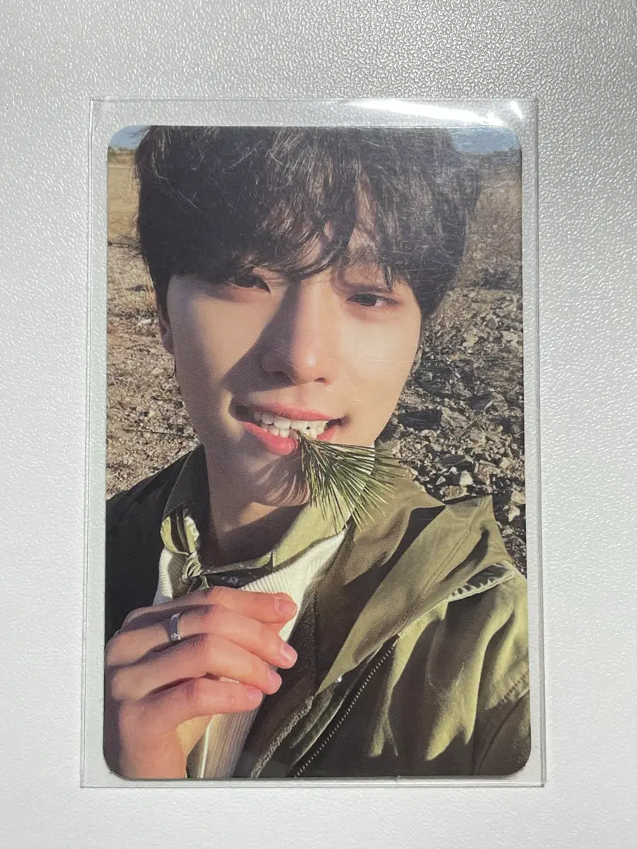 세븐틴 디노 페더썬 포카