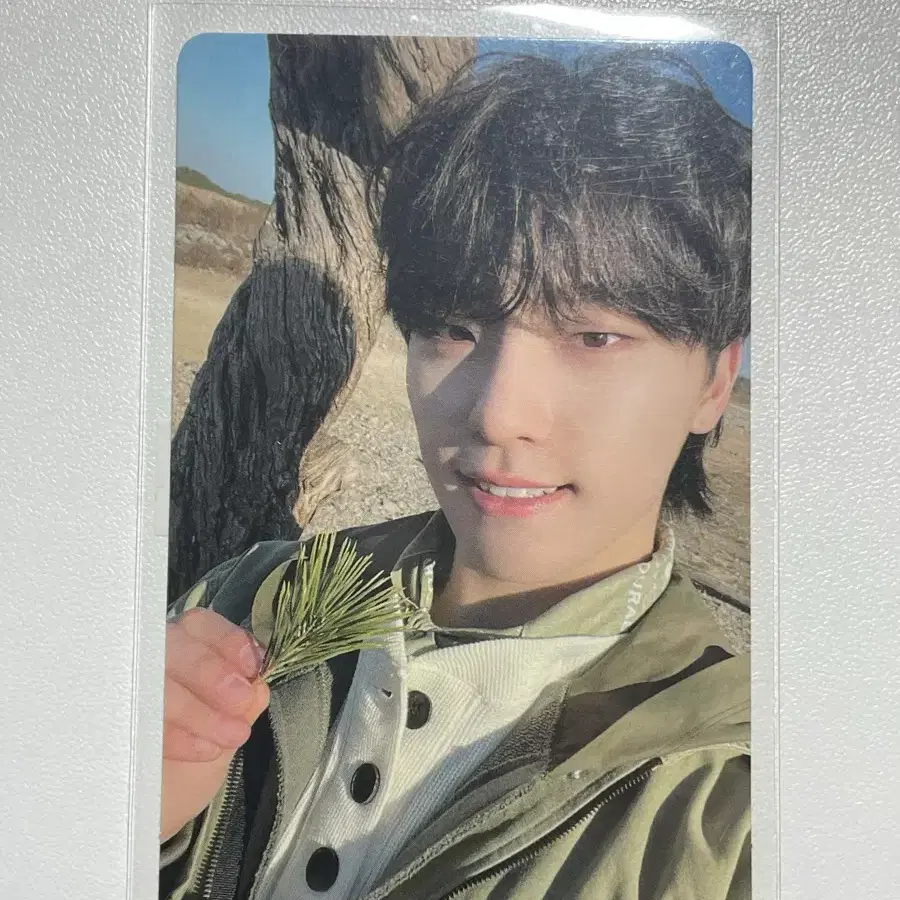 세븐틴 디노 페더썬 포카