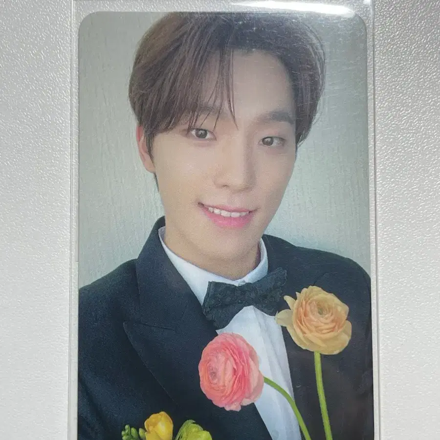 세븐틴 디노 FML 캐럿반 포카