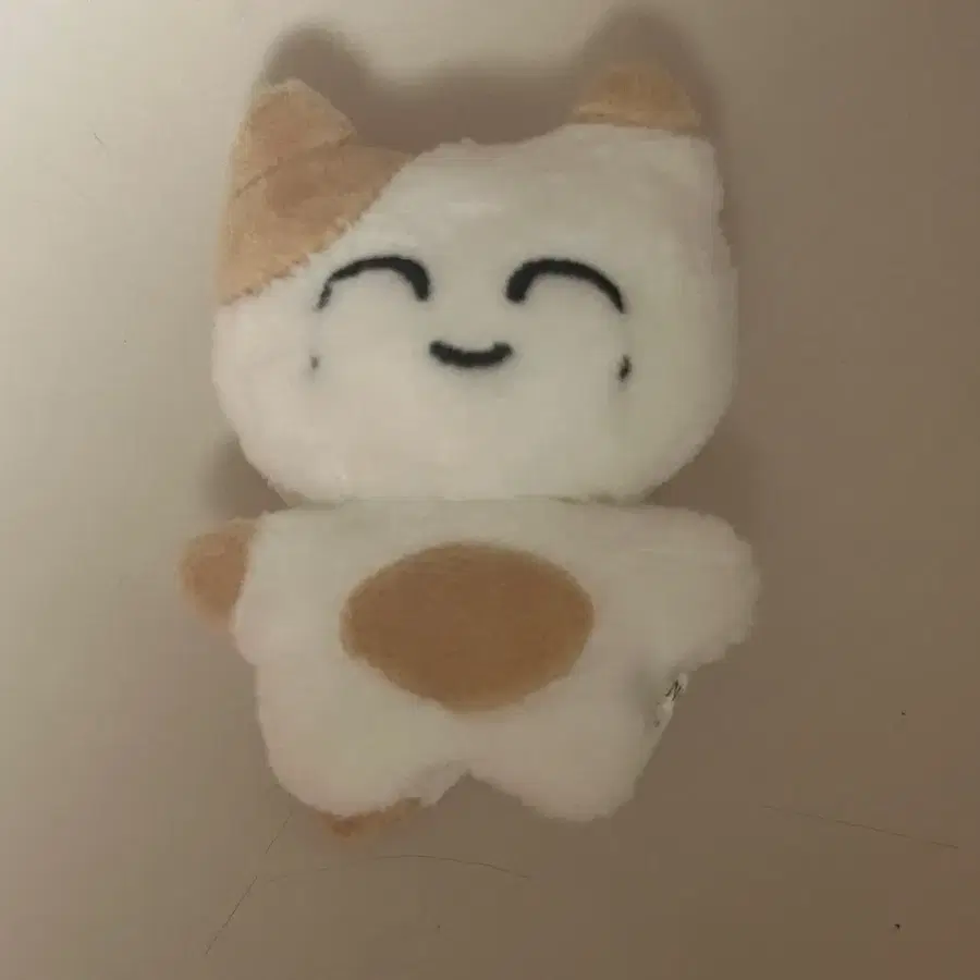 엔시티 재현 인형 솜땀이