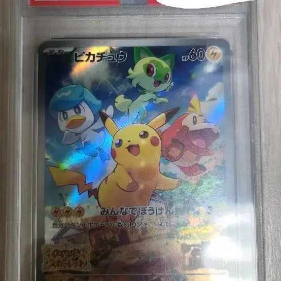 포켓몬 카드 피카츄 2022 프로모 psa 10