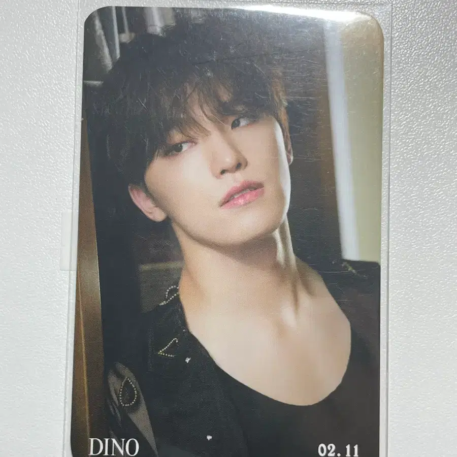 세븐틴 디노 FML 예사 포카
