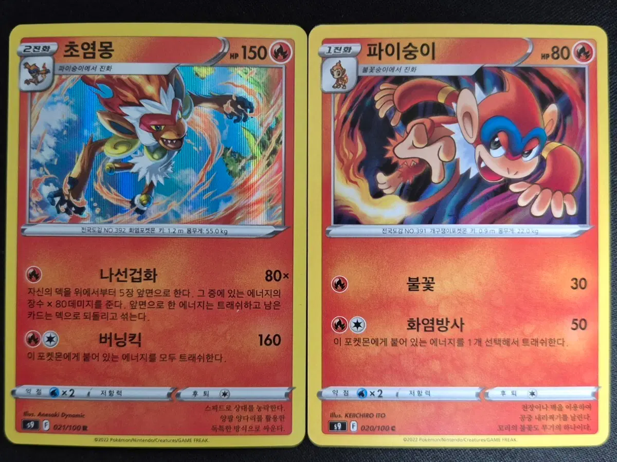 포켓몬카드 초염몽 파이숭이 진화세트