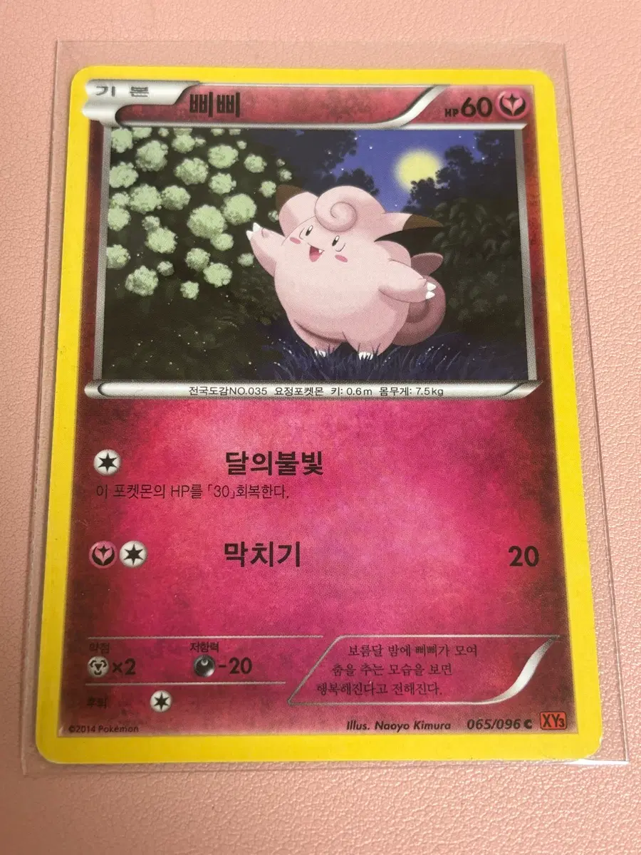 포켓몬카드 삐삐 xy 고전 고대카드