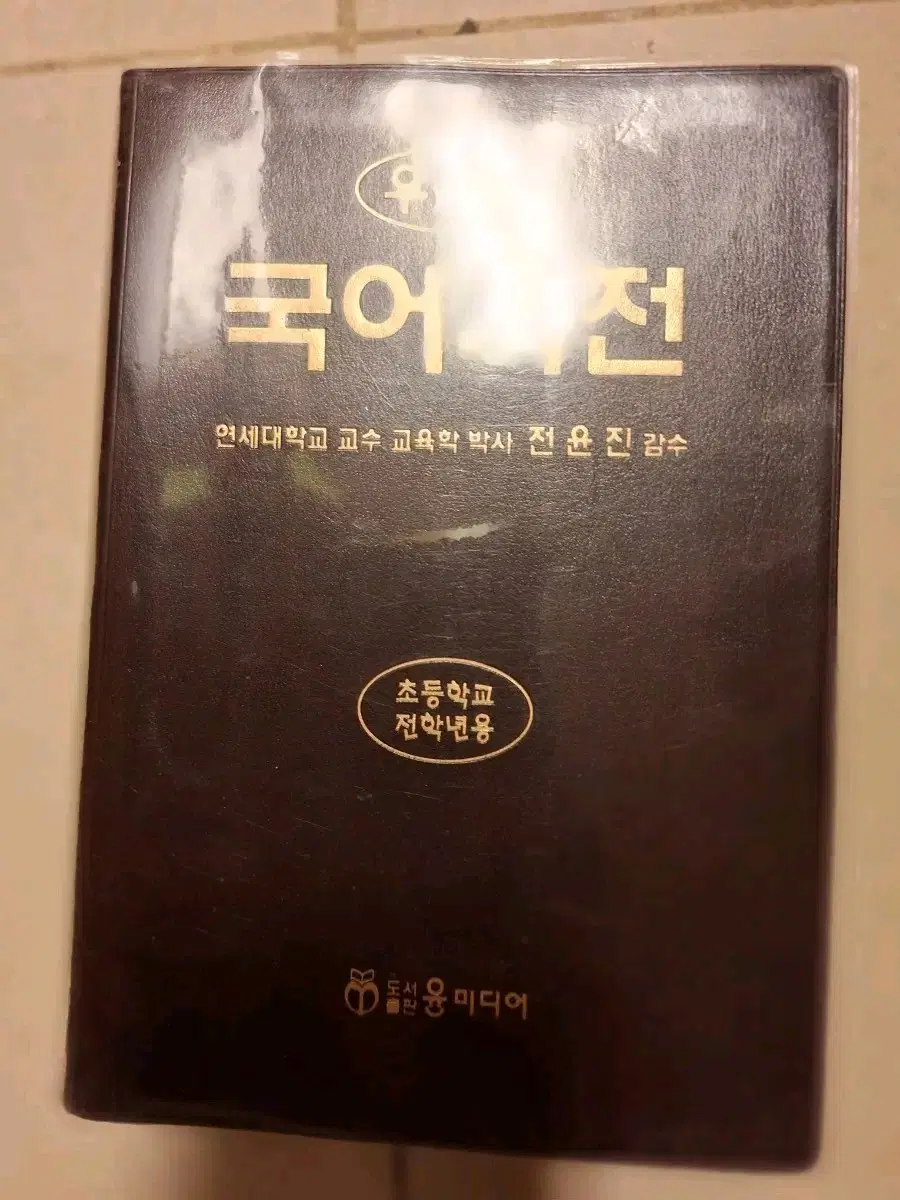 # 우리말국어사전(전윤진 감수)