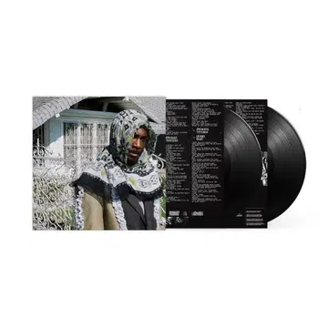 Jpegmafia - All my heroes are cornballs LP | CD/DVD/LP | 번개장터