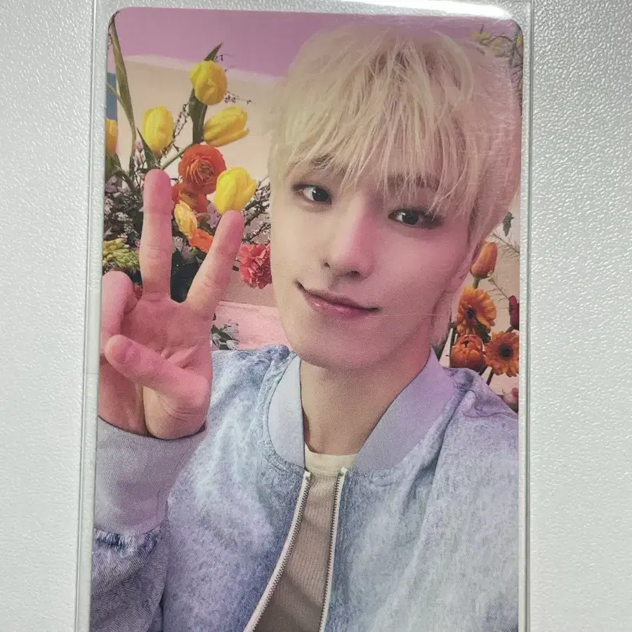 세븐틴 디노 always yours 이마세카 포카