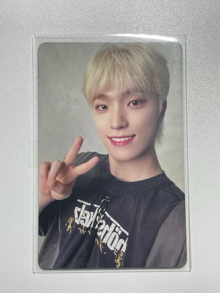 세븐틴 디노 always yours 이마세카 캐럿 포카