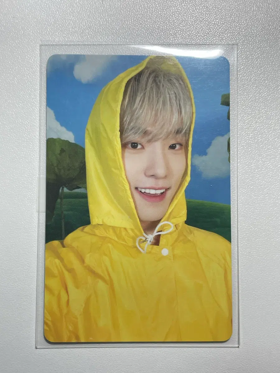 세븐틴 디노 음악의 신 헤븐 캐럿반 포카