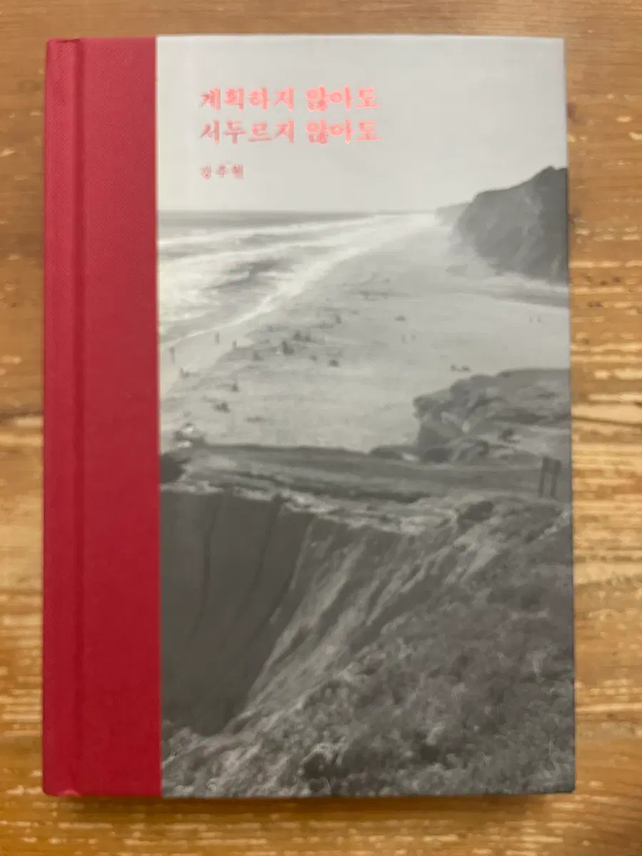 계획하지 않아도 서두르지 않아도 - 강주원
