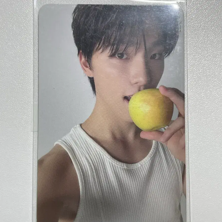세븐틴 디노 라잇히어 포카