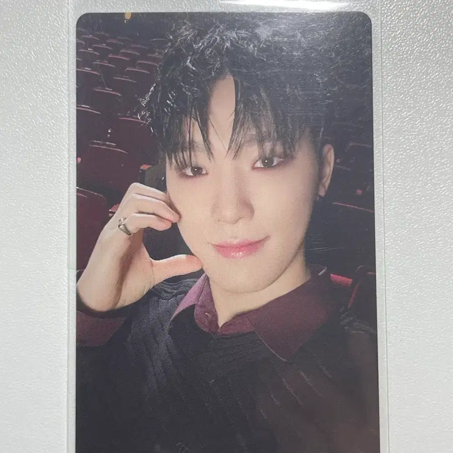 세븐틴 디노 라잇히어 디럭스 포카