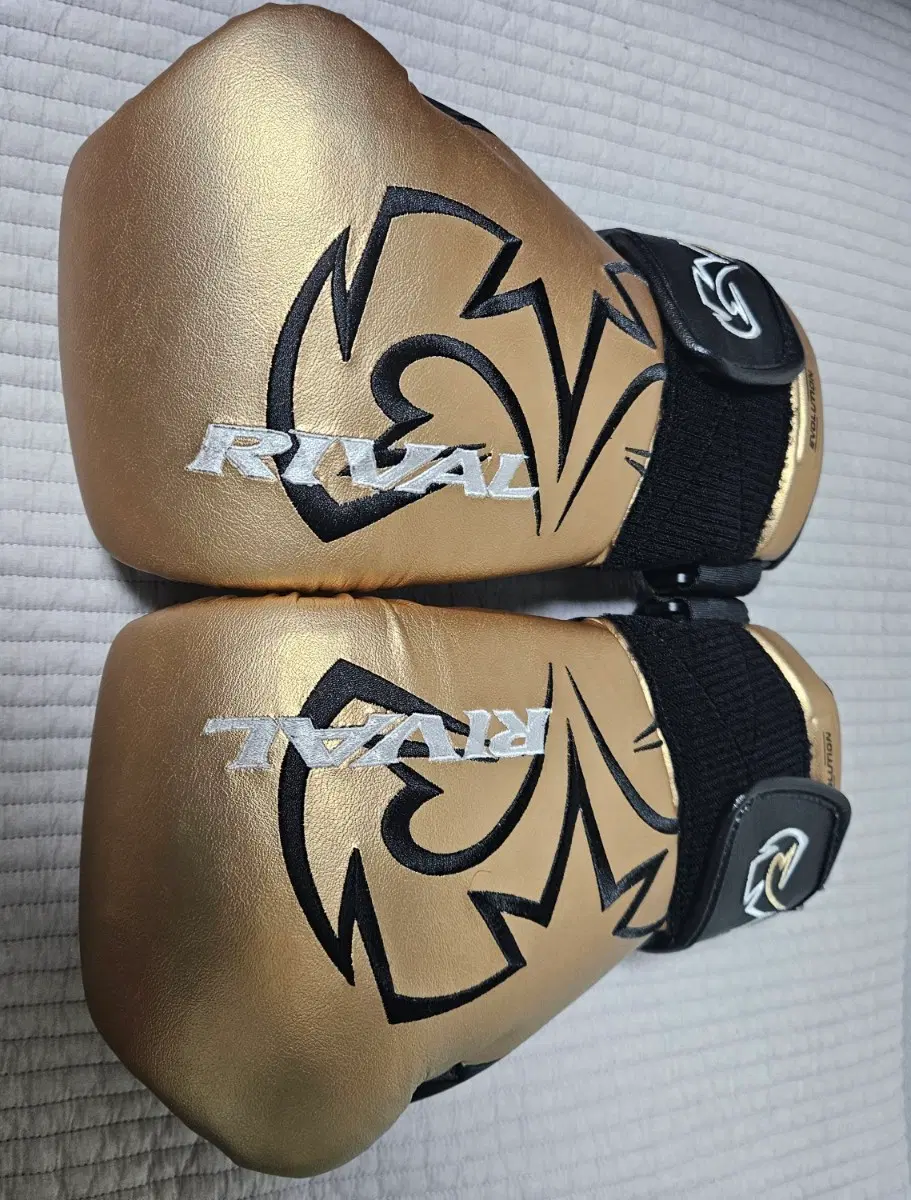라이벌 rb11 백글러브(m)