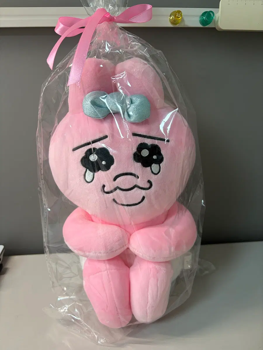 빤쮸토끼 오빤쮸우사기 미개봉 택0 중형인형