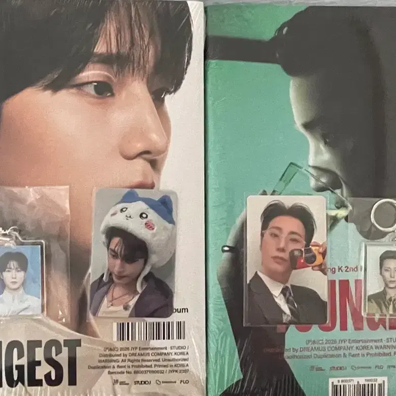 데이식스 영케이 영기스트 앨범