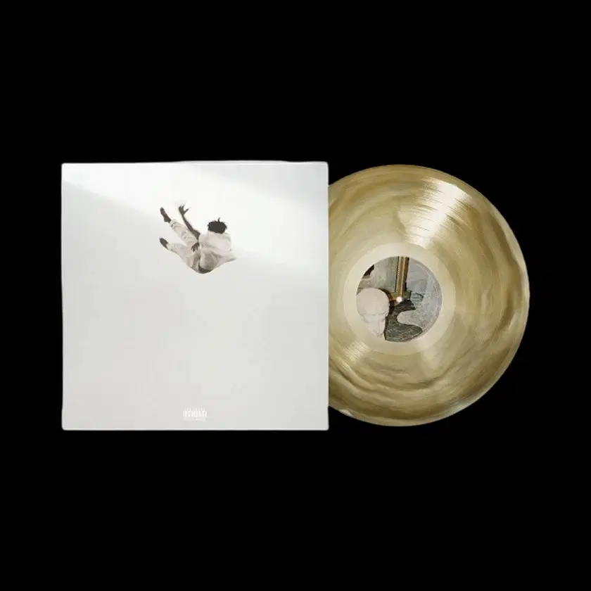 다니엘 시저 Pilgrim's Paradise LP 모카 스월 새상품