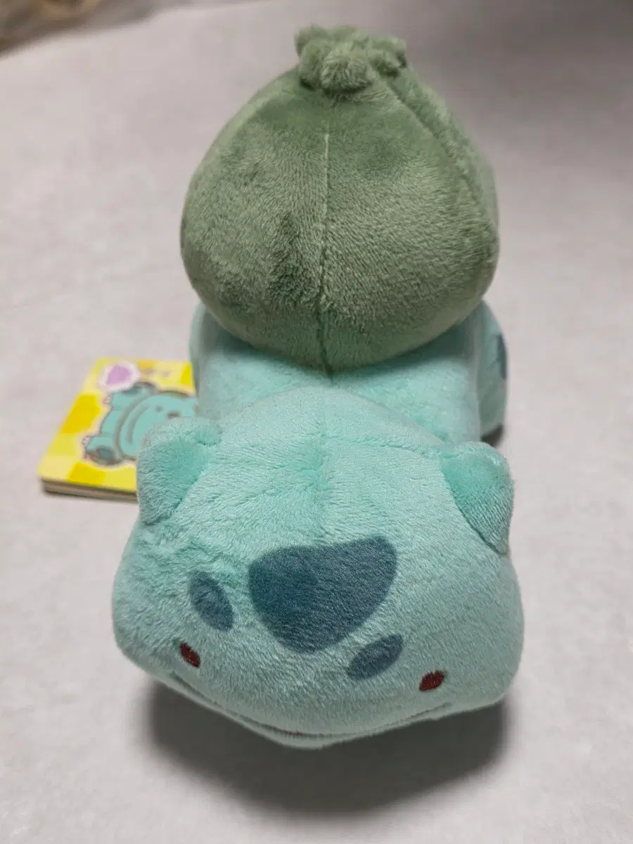 정품 메타몽 이상해씨
