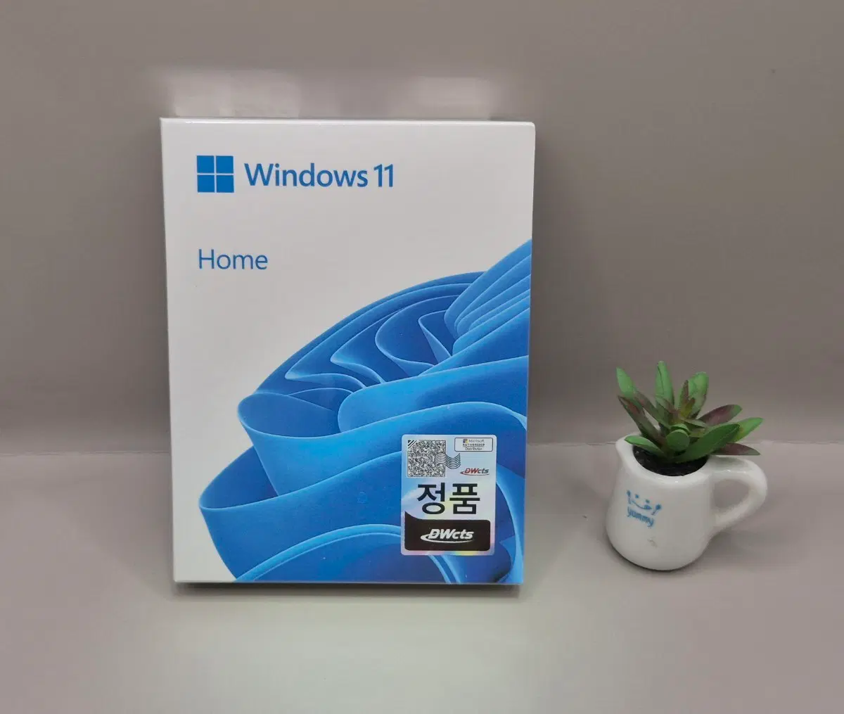 윈도우 11 Home FPP 처음사용자용(USB, 키카드)