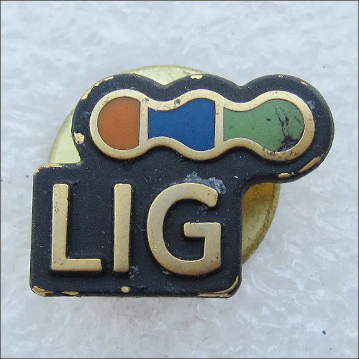 [기업 배지] LIG (전 LG화재) (co7)