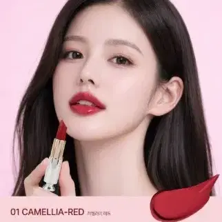 레드 디블랑 비건 플럼핑스틱 3종 레드 핑크 오렌지 립스틱 입술 선명한 컬러 립볼륨