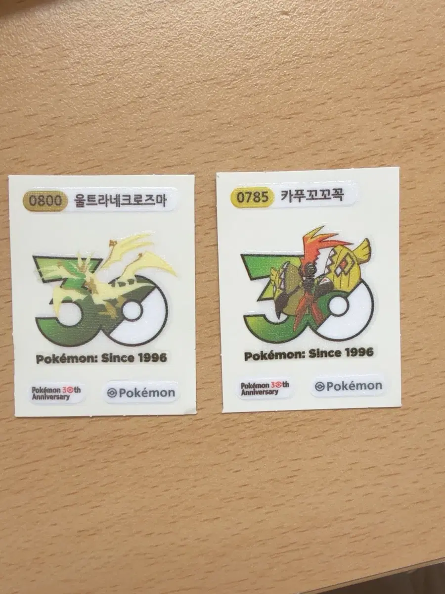 포켓몬스터 30주년 띠부실