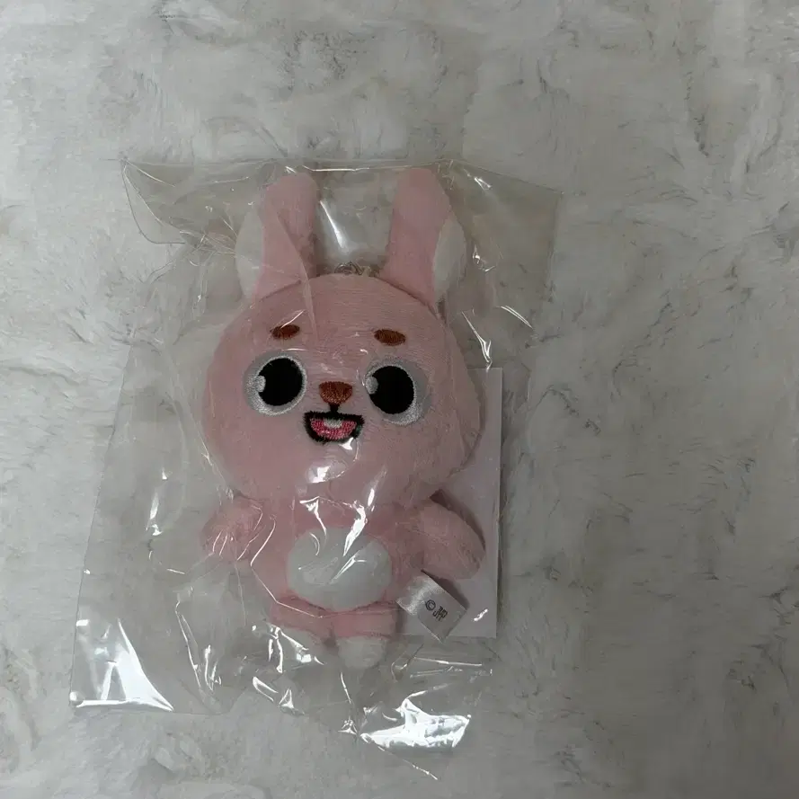 미개봉)데이식스 일본엠디 백참 데니멀즈 필끼 필 양도 원필