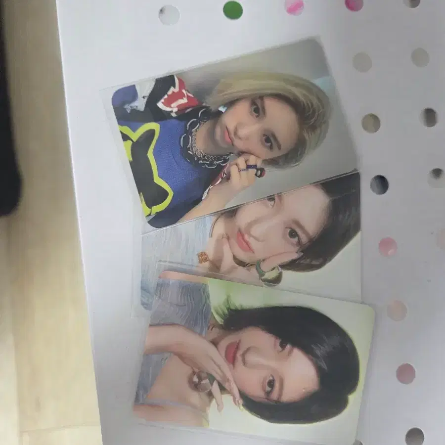 가을 포카 3장