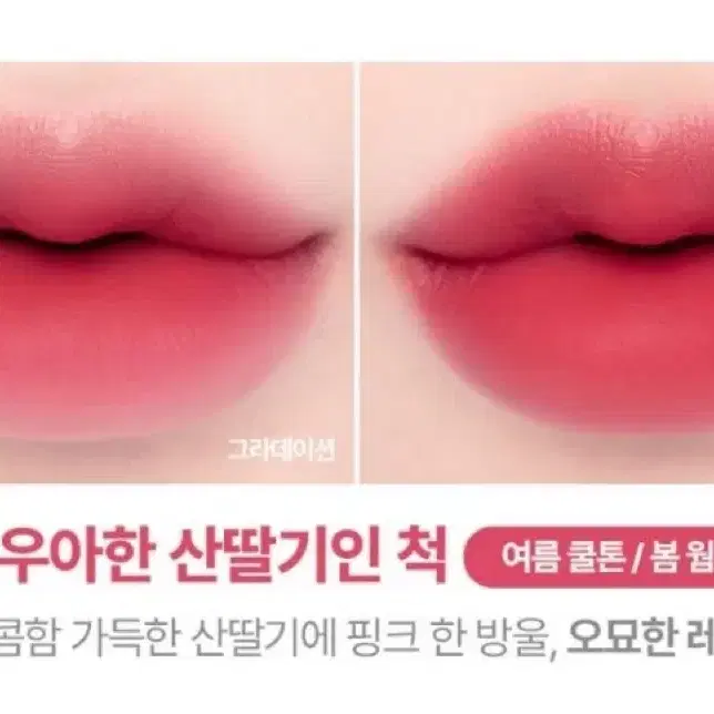 릴리바이레드 04우아한 산딸기인 척 립틴트