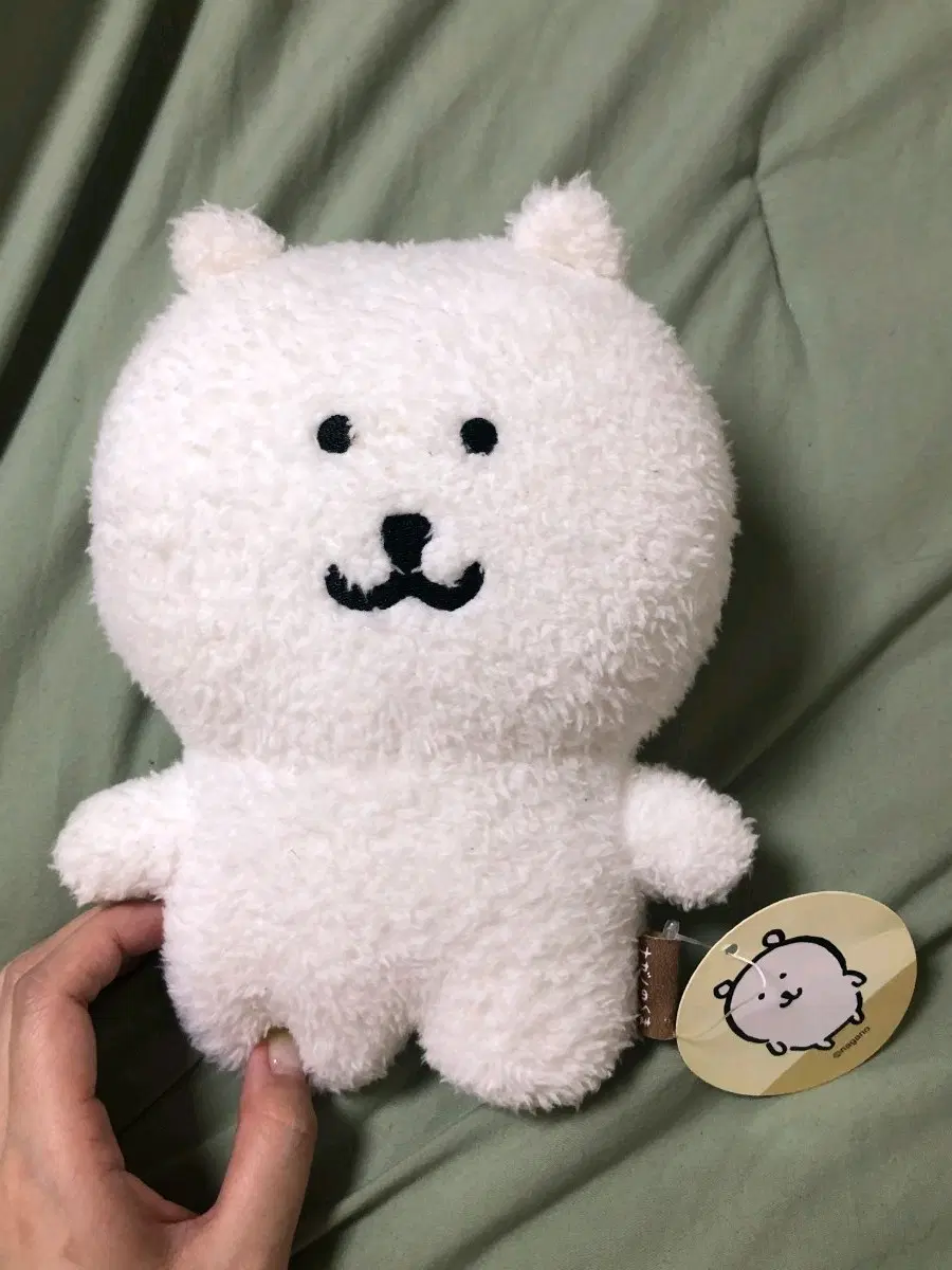 (정품, 택있음)농담곰 스쿳토 인형