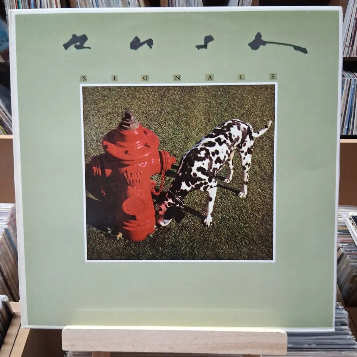 희귀 민트급 러시 앨범 Signals 바이닐 LP 할인