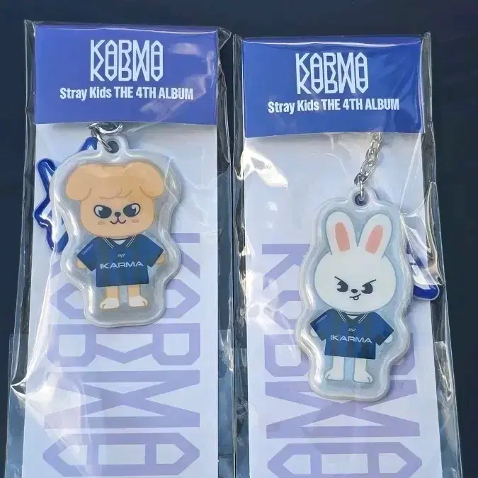 급처)스키주 음양 키링