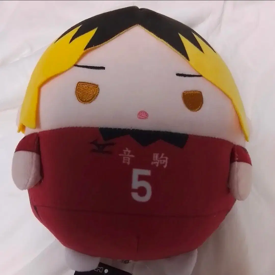 Haikyuu Kozume Kenma Fuwarokoring M First Uniform 8 Nekoma Plush Doll
