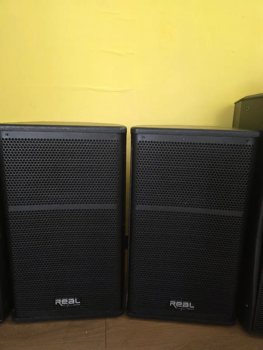 RX-12X REAL 리얼 메인스피커 RX12X 300W 12인치 2개
