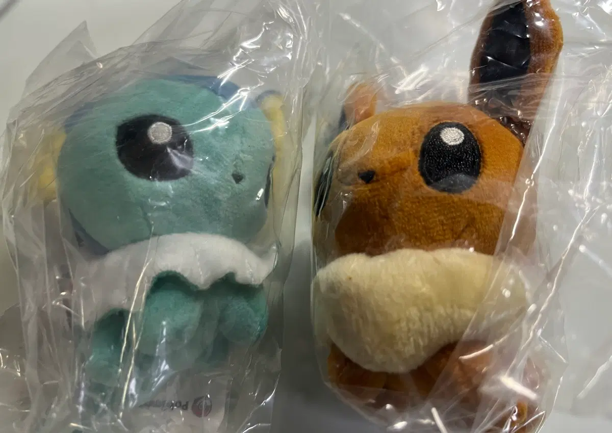 포켓몬스터 샤미드 돌즈/이브이 돌즈
