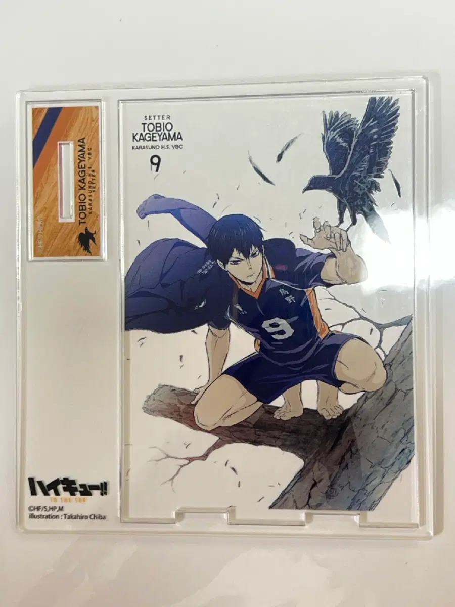 HaiQ Tobio Kageyama Barefoot Acrylic